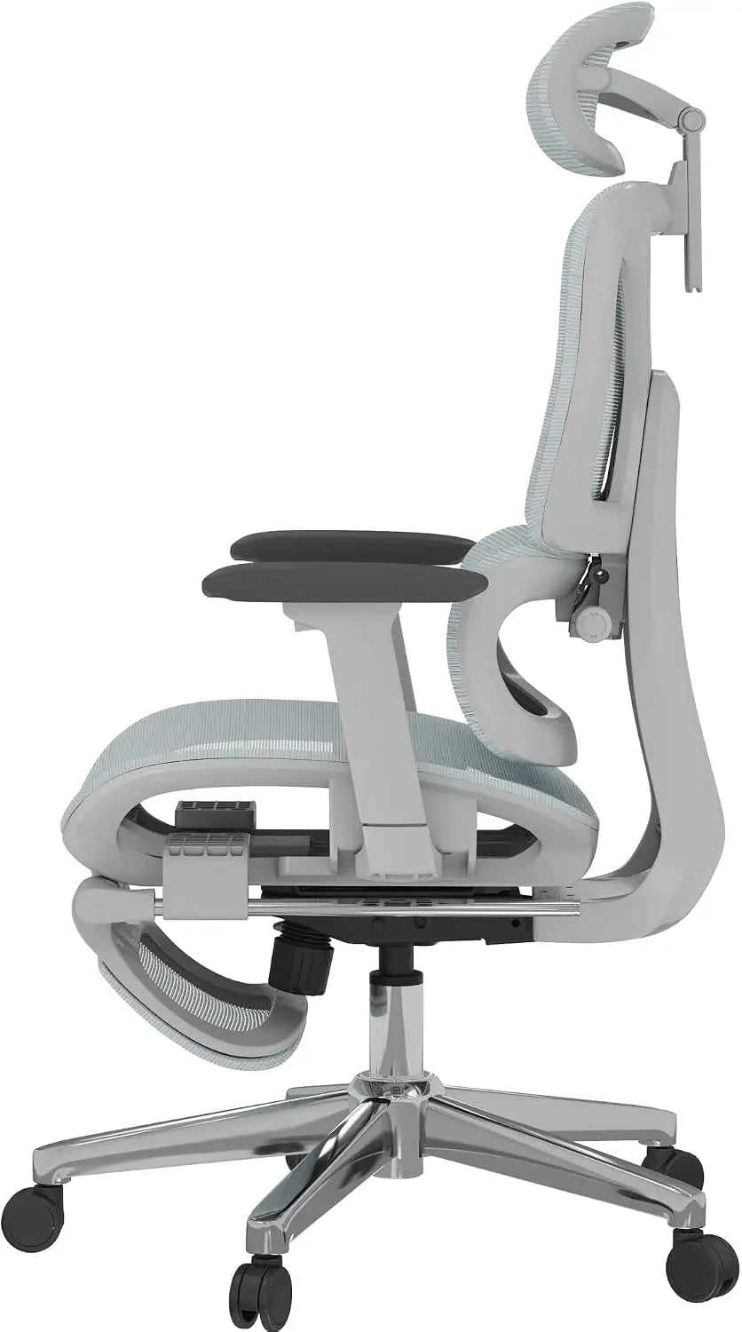 FLEXISPOT ErgoX Premium Ergonomic Office Chair
