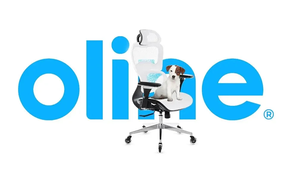 Oline ErgoPro Ergonomic Office Chair with 4D Adjustable Armrest, 3D Lumbar Support and Blade Wheels - Mesh Computer Gaming Rolling Desk Executive Swivel Home Chair (White)