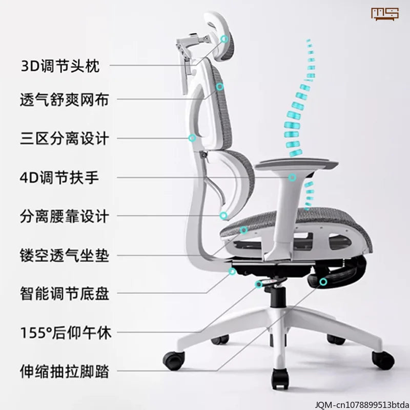 Comfortable Ergonomic Study Chair, Waist Support for Long Periods of Sitting, Lift Chair, Home Computer Swivel Office Chair