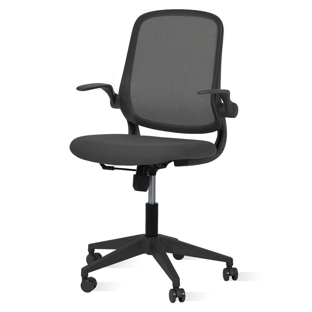 Ergonomic Office Chair With Flip Up Arms, Black Mesh Desk Chair With Lumbar Support, Adjustable Swivel Computer Chair For Home Office
