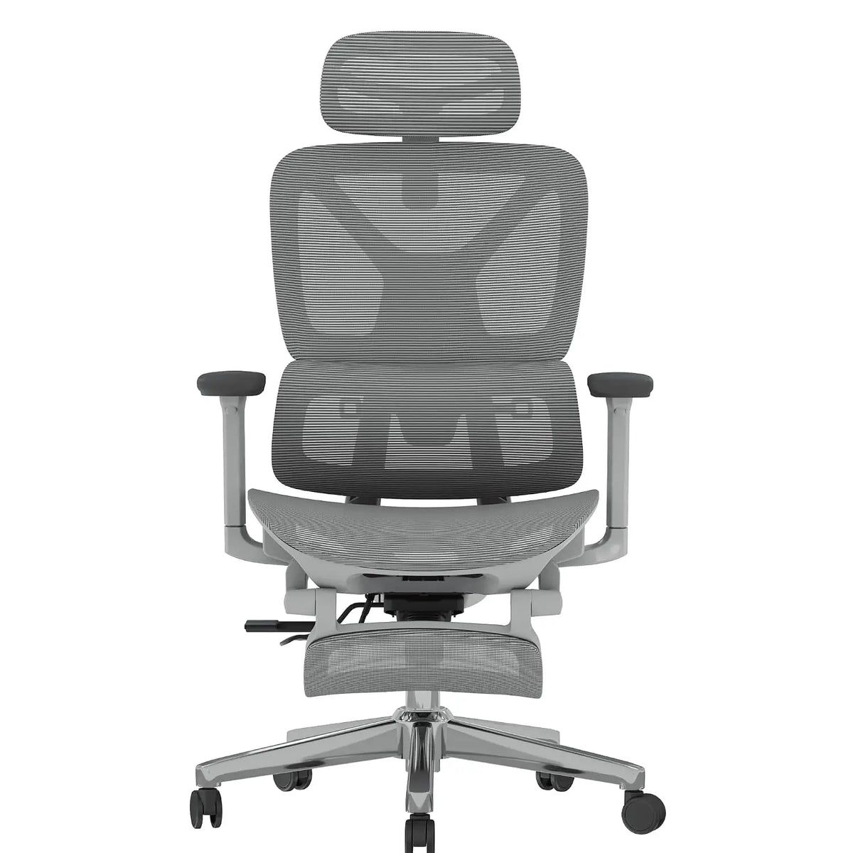 Ergonomic Office Chair with Adjustable Armrests, Lumbar Support, Recline, Tilt, Mesh, Footrest, Home & Office, Customized