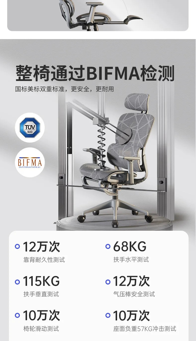 Ergonomics, Chair, Waist, Computer Comfort, Sedentary, Home, Backrest, E-sports Reclining, Office, Seat