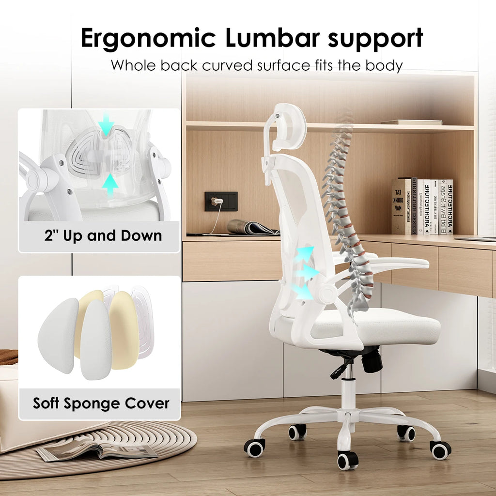 Farini Ergonomic Office Chair, Home Office Desk Chair with Adjustable Lumbar Support, Headrest & Armrest, High Back Computer Chair for Work, Study