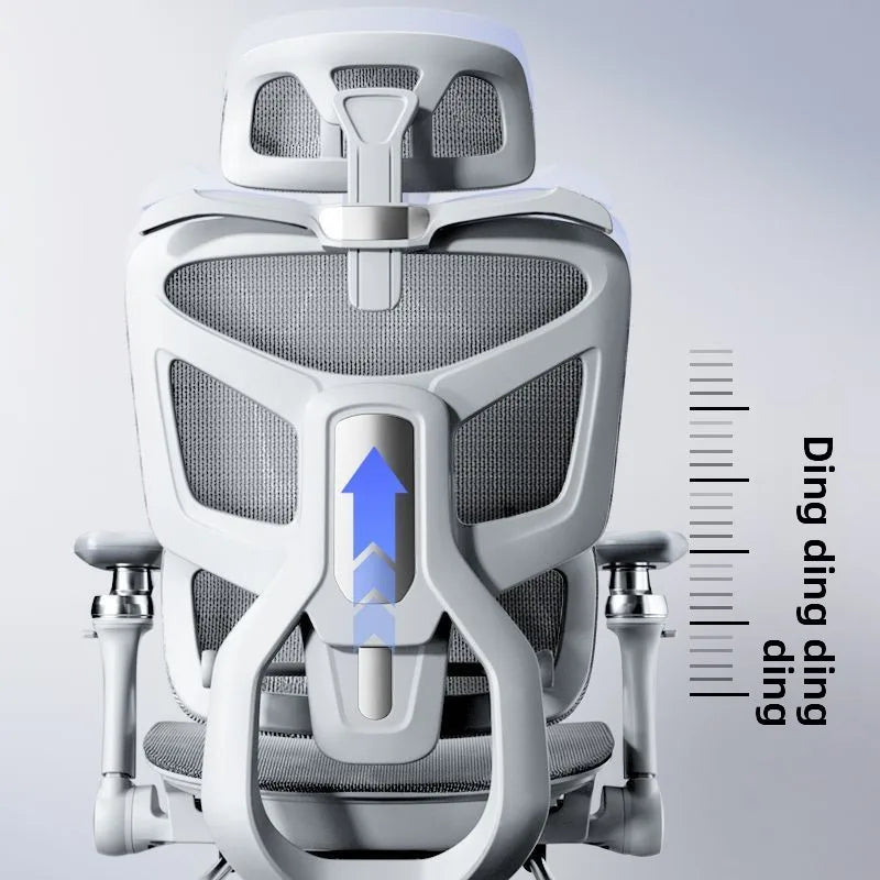 Ergonomic Chair Lumbar Support Computer Chair Home Comfortable Long Sitting Gaming Reclining Office Computer Chair Muebles